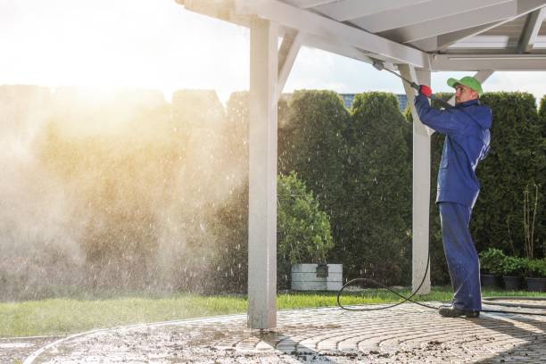 Professional Pressure Washing in East Highland Park, VA