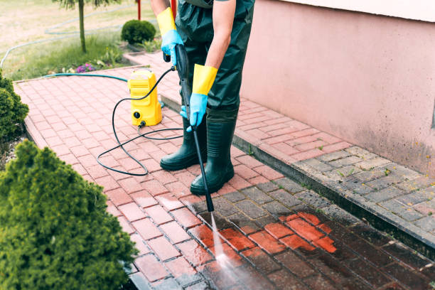 Best Roof Washing  in East Highland Park, VA
